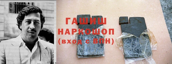 хмурый Арсеньев