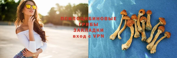 метадон Армянск