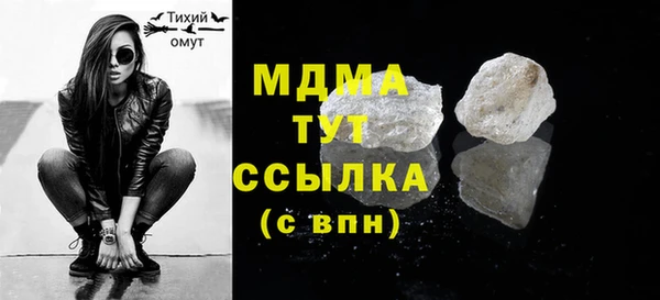 хмурый Арсеньев