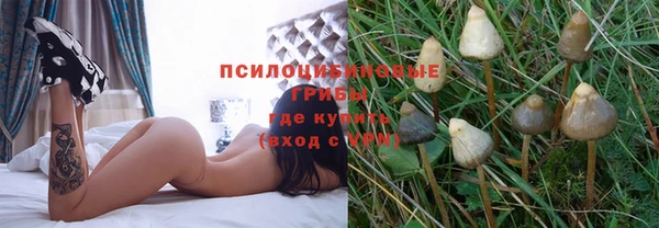 метадон Армянск