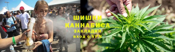 хмурый Арсеньев