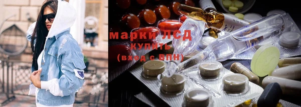 хмурый Арсеньев